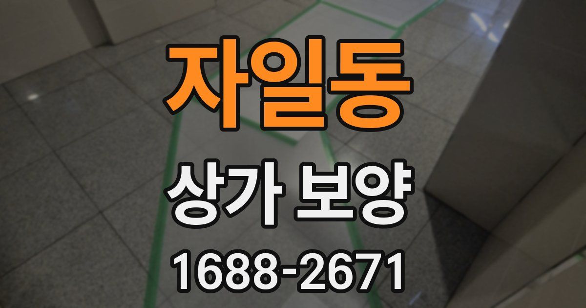 자일동 상가 보양