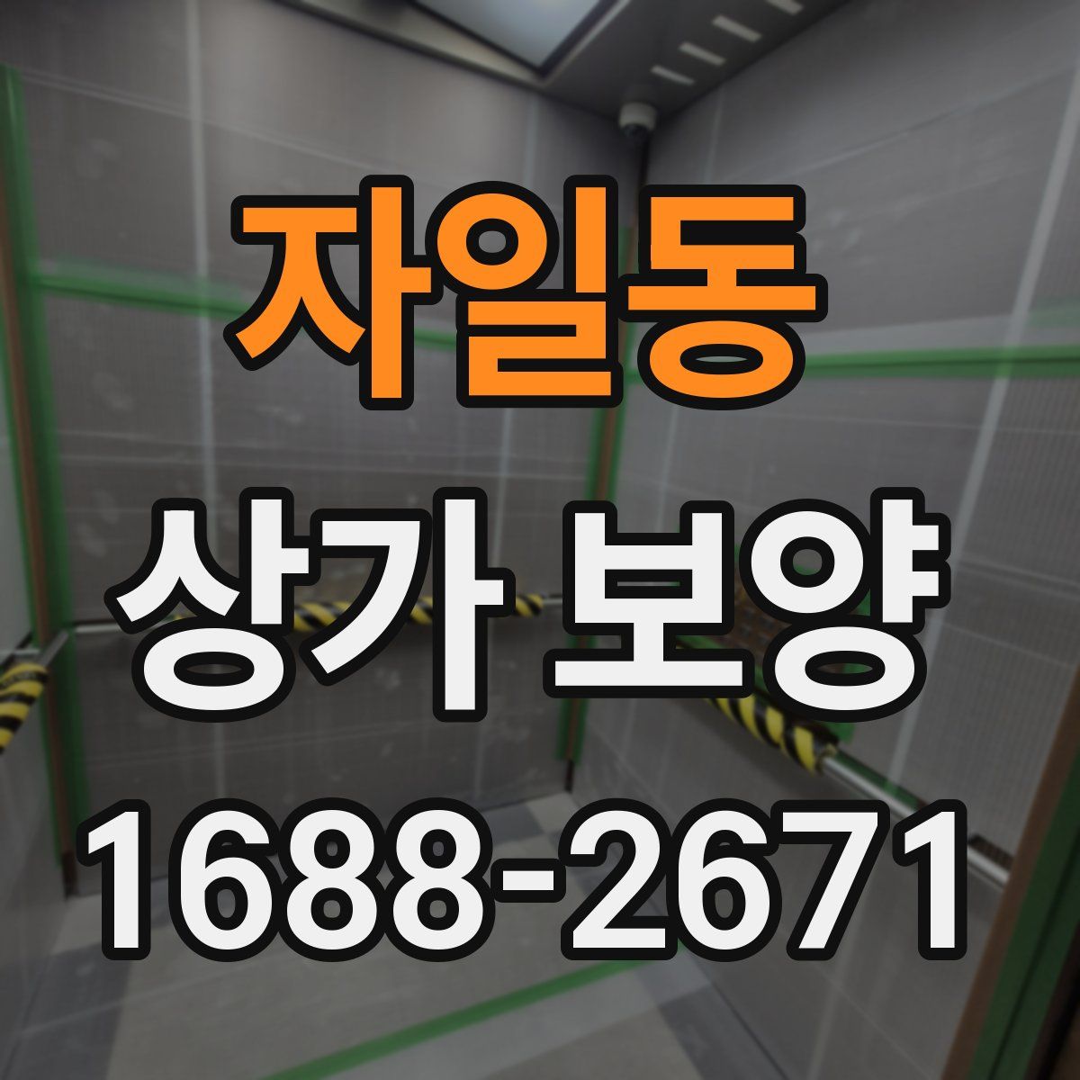 자일동 상가 보양