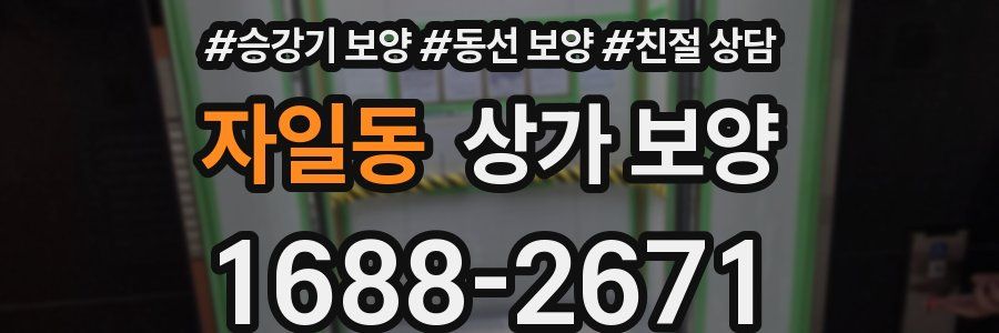 자일동 상가 보양