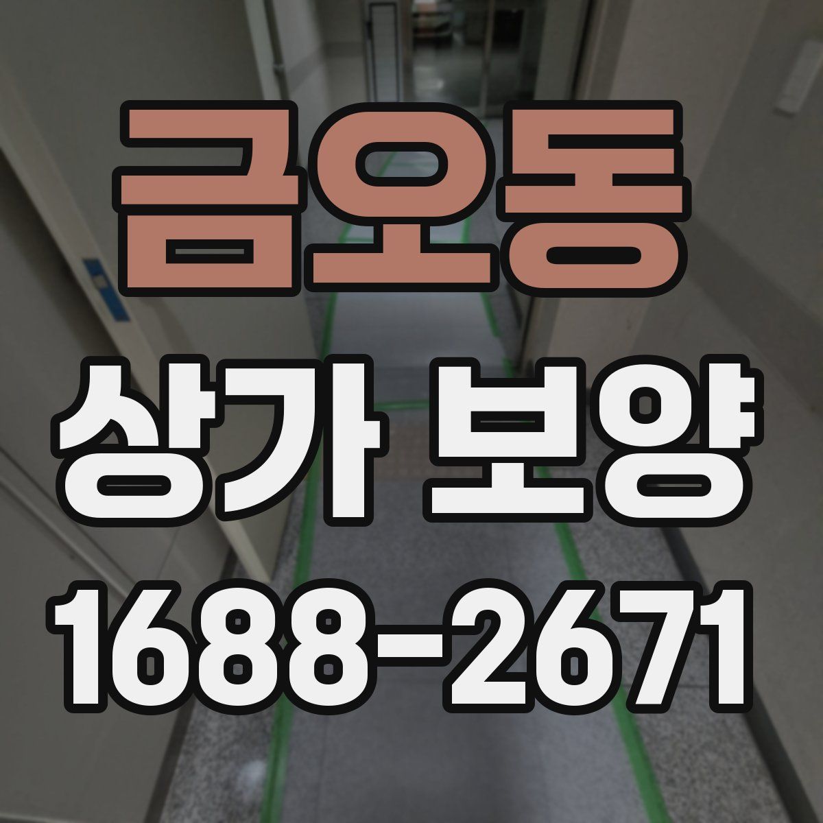 금오동 상가 보양