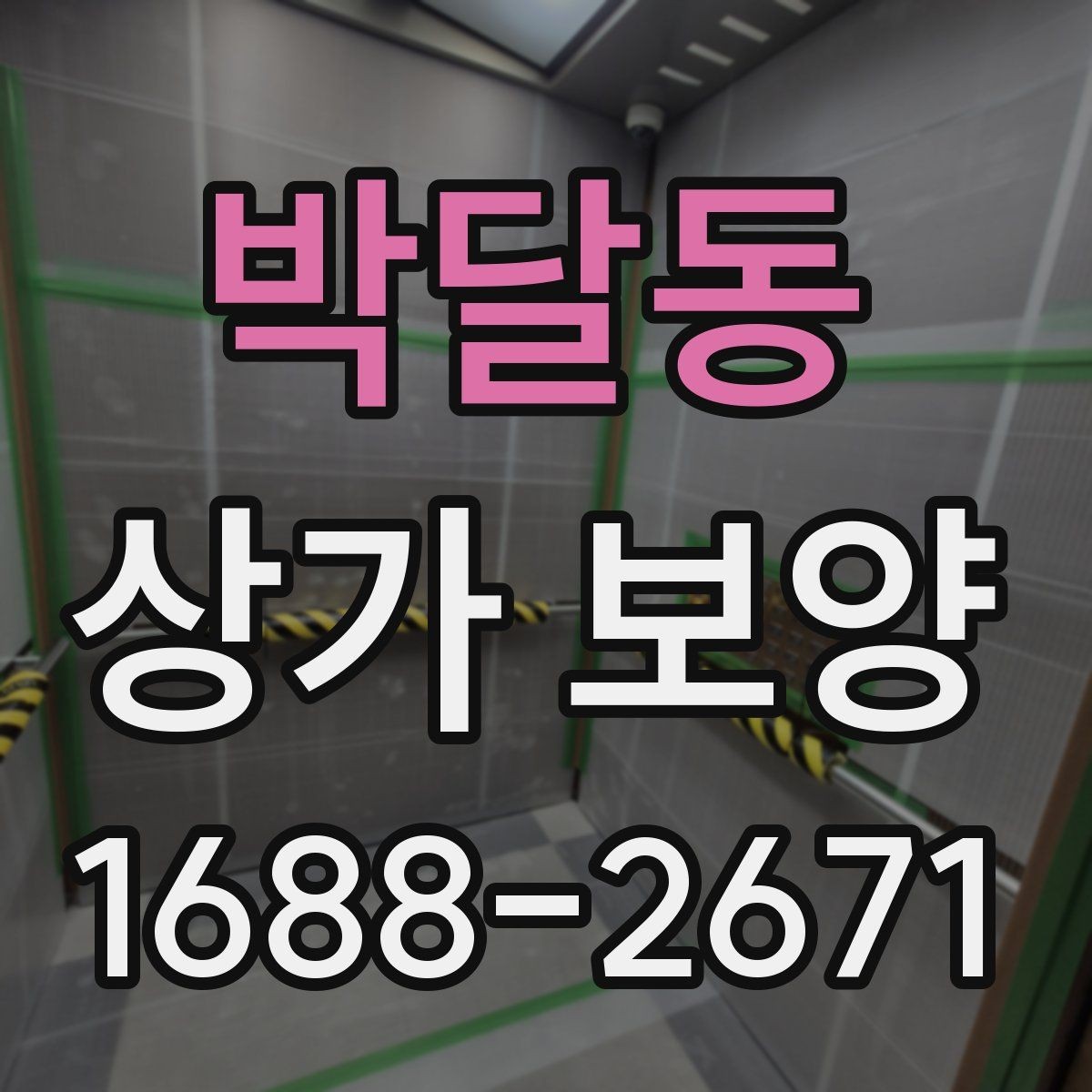 박달동 상가 보양 작업의 핵심 절차
