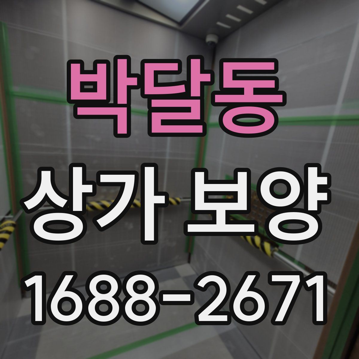 박달동 상가 보양