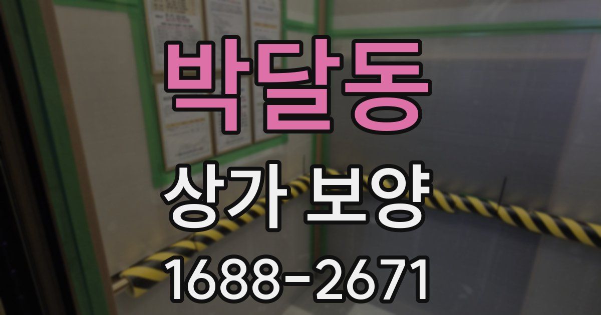 박달동 상가 보양