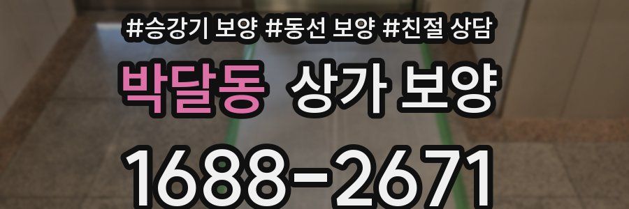 박달동 상가 보양
