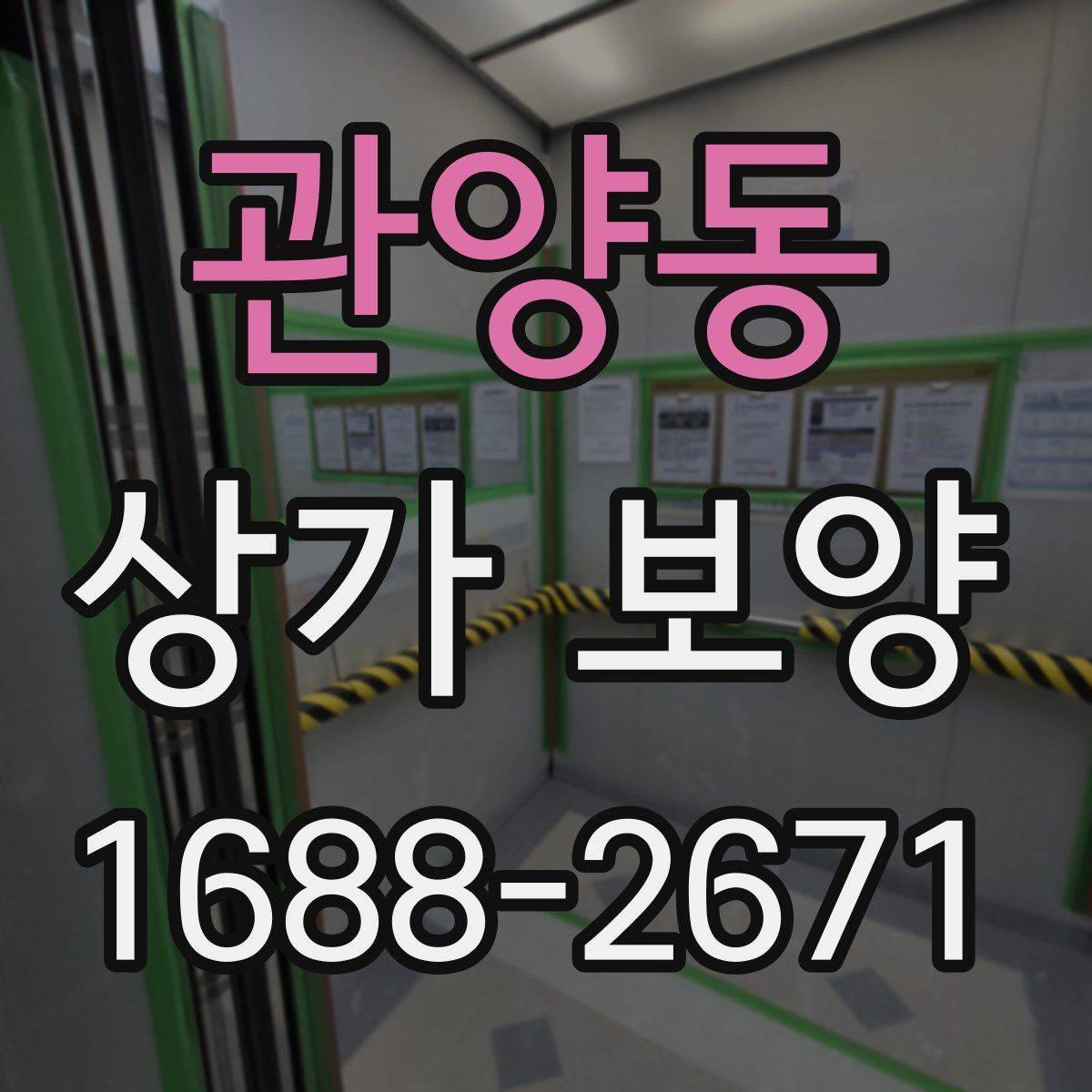 관양동 상가 보양