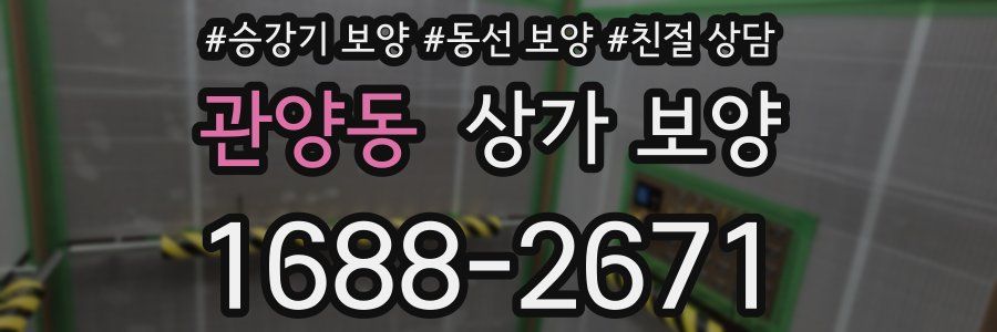관양동 상가 보양