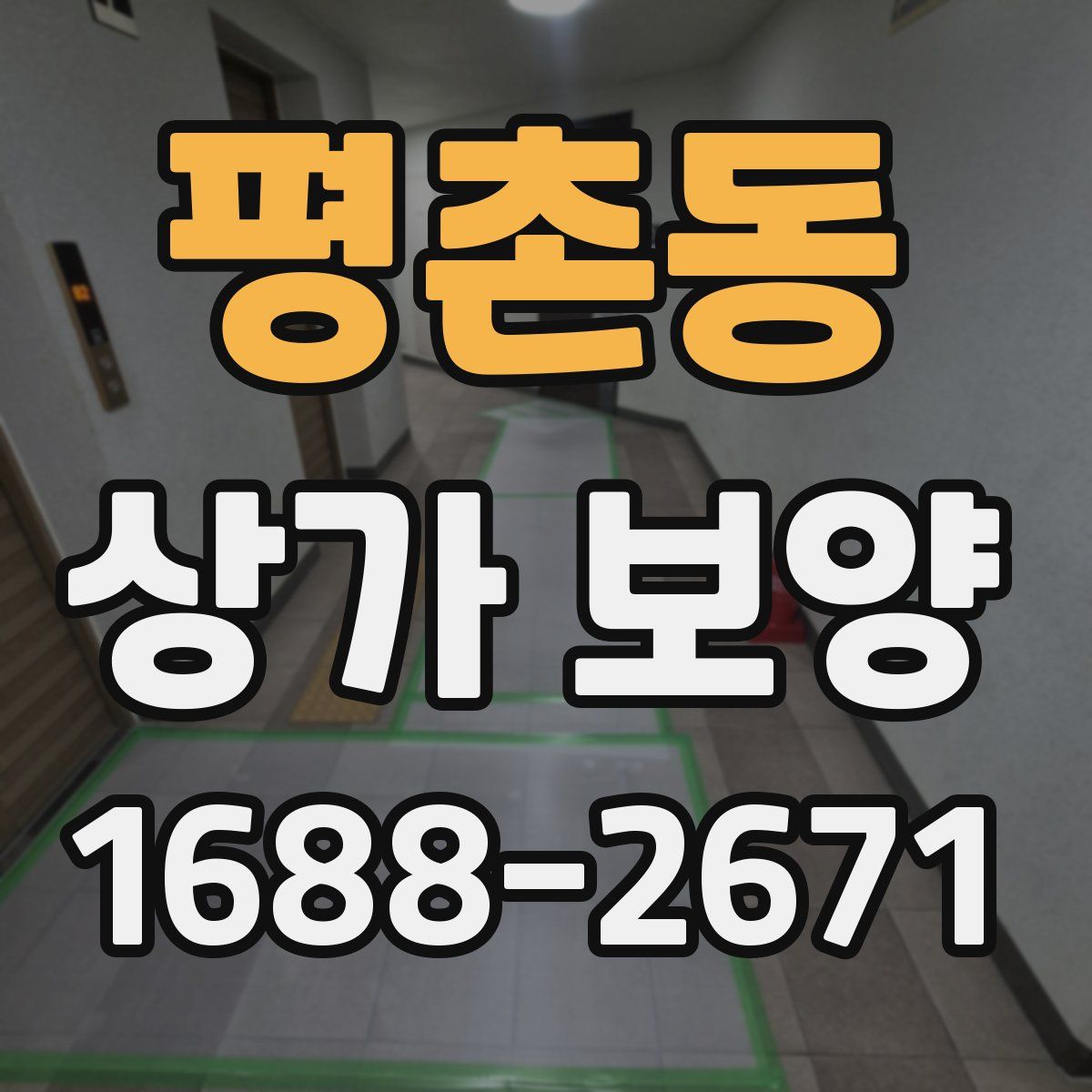 평촌동 상가 보양