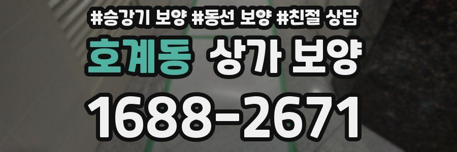 호계동 상가 보양