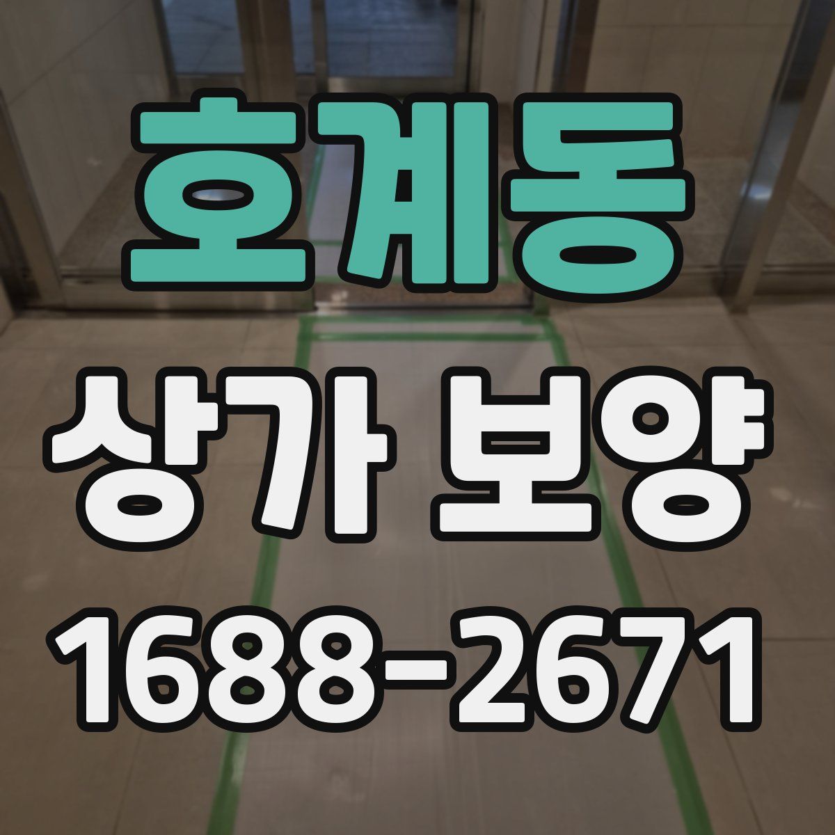 호계동 상가 보양