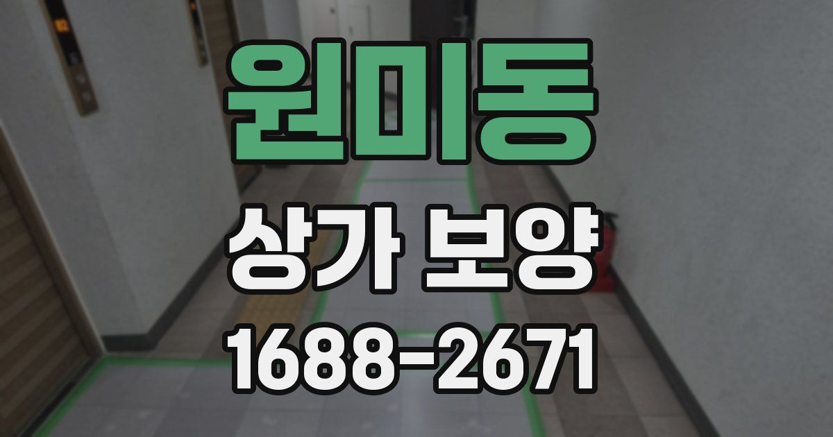 원미동 상가 보양