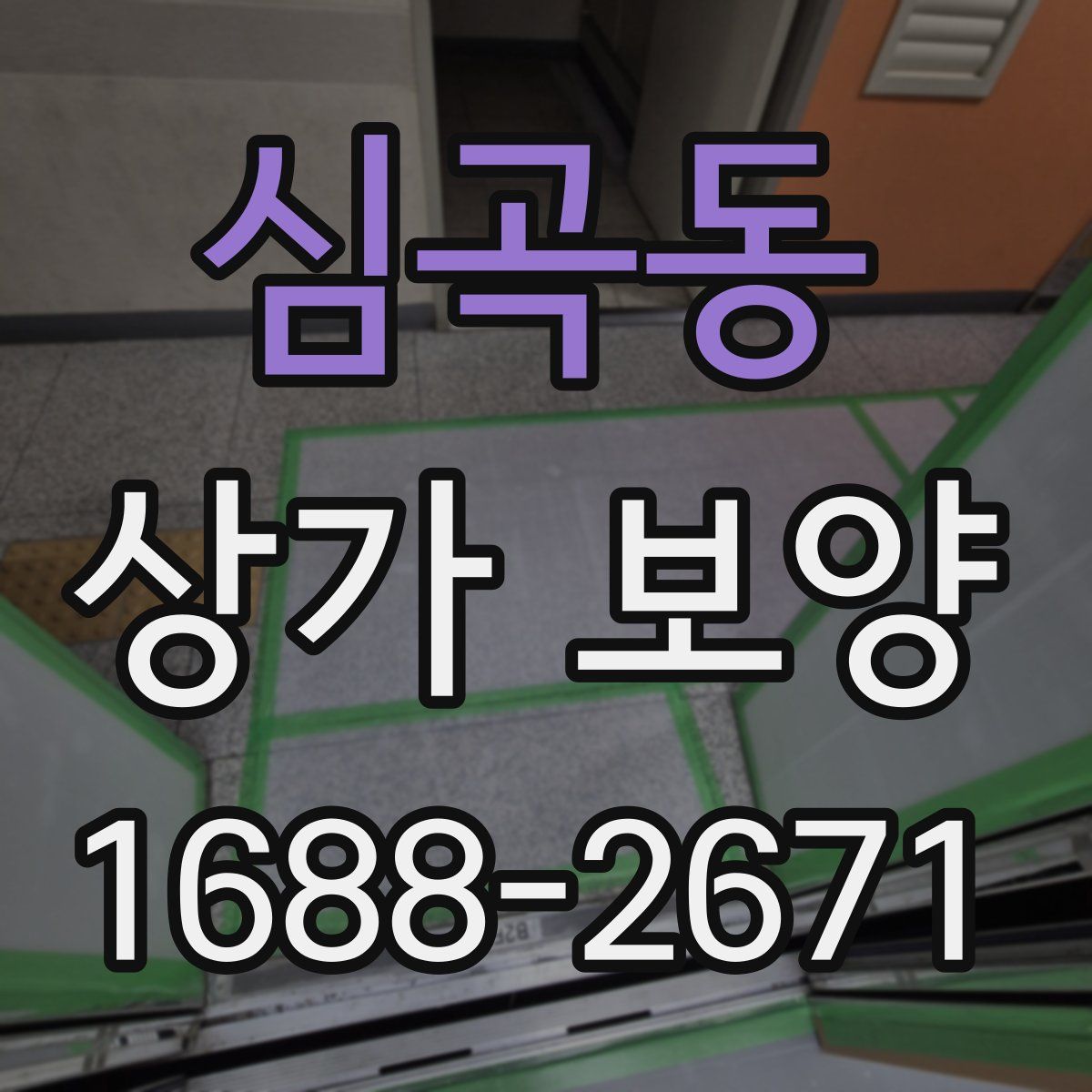 심곡동 상가 보양