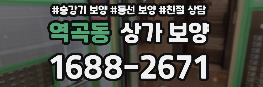 역곡동 상가 보양