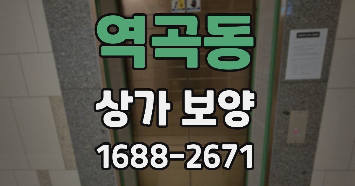 역곡동 상가 보양