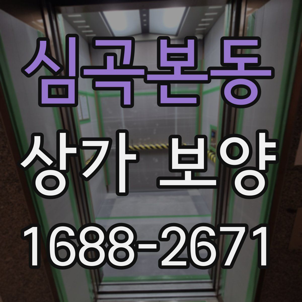 심곡본동 상가 보양