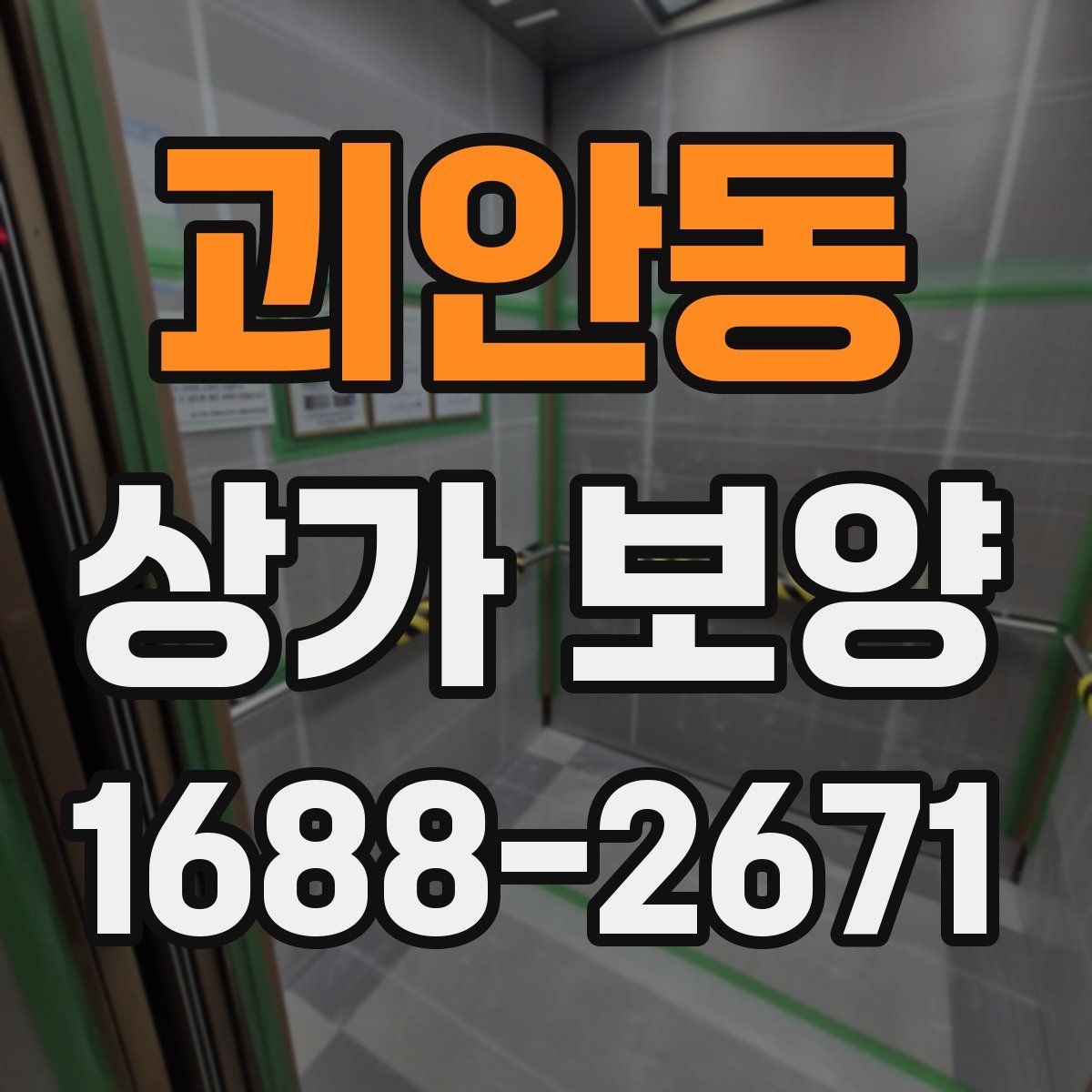 괴안동 상가 보양