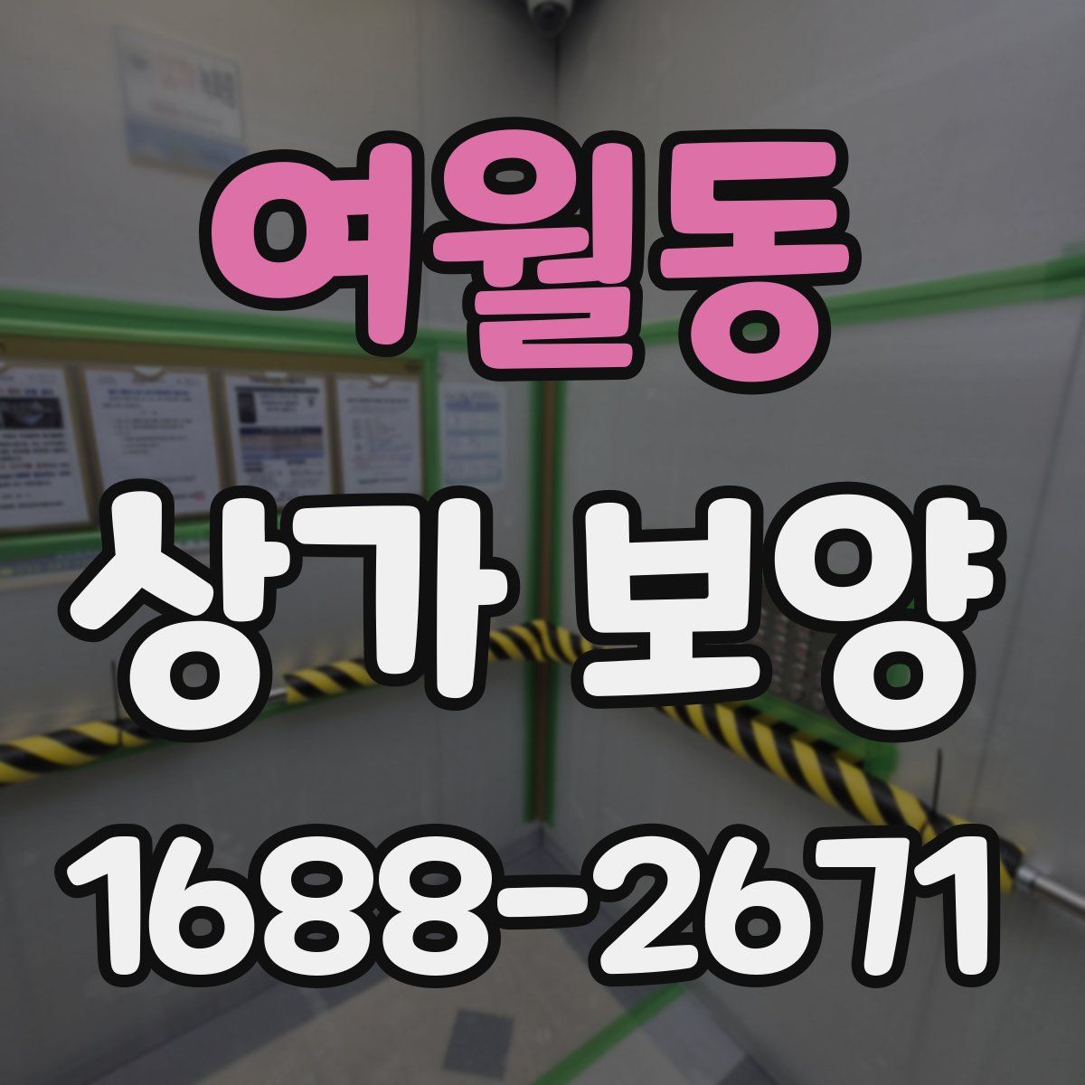 여월동 상가 보양