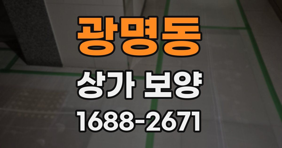 광명동 상가 보양