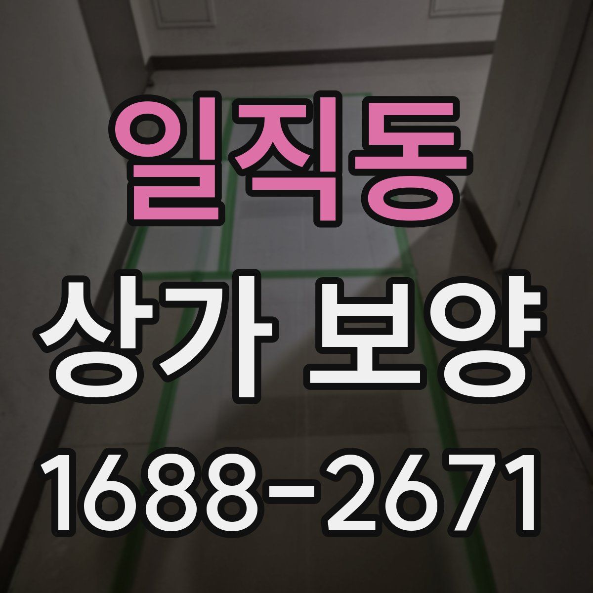 일직동 상가 보양