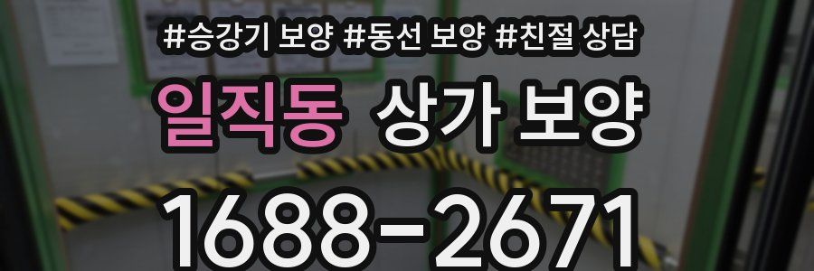 일직동 상가 보양