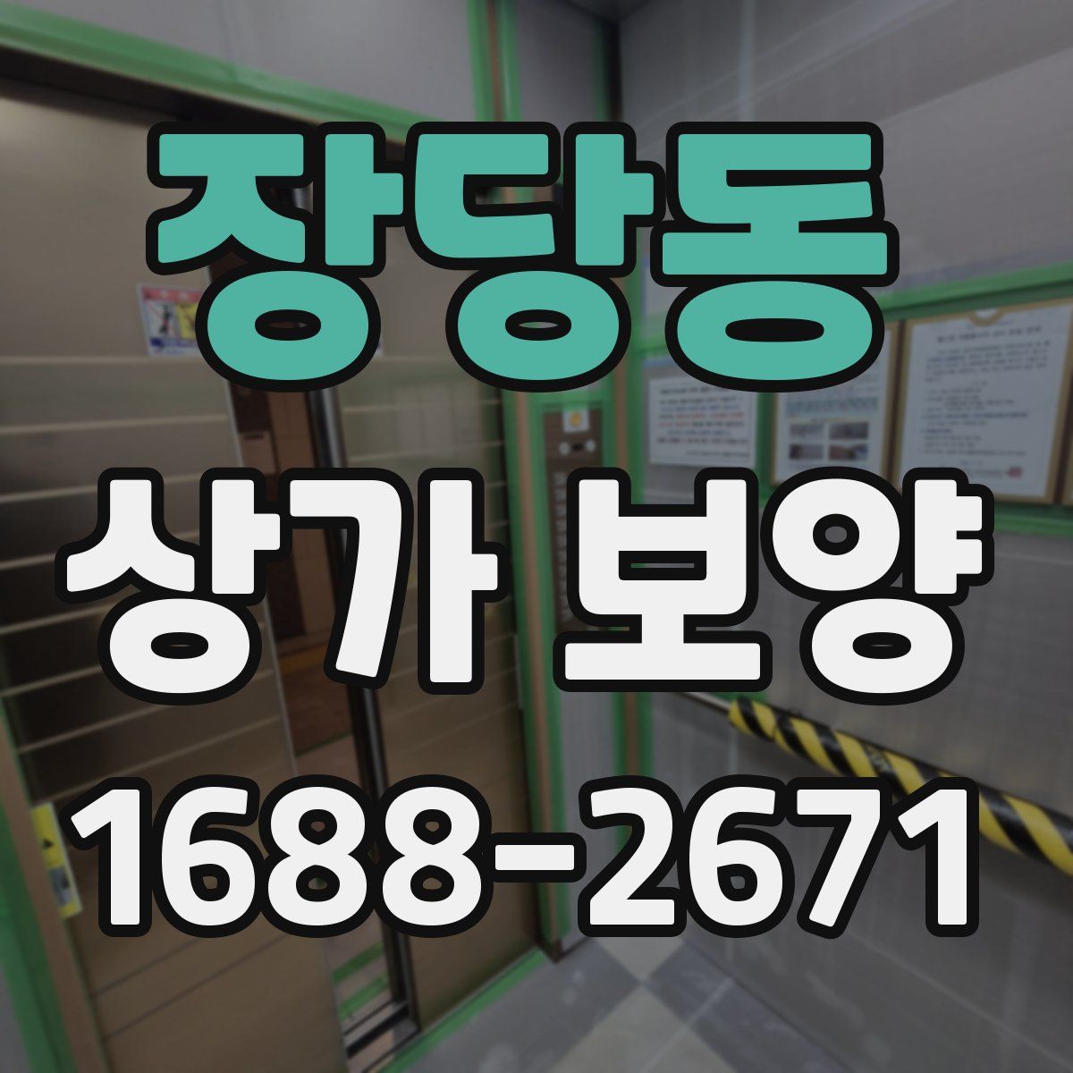 장당동 상가 보양