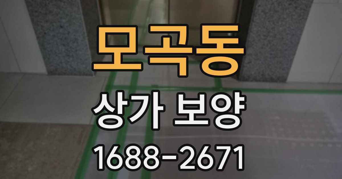 모곡동 상가 보양
