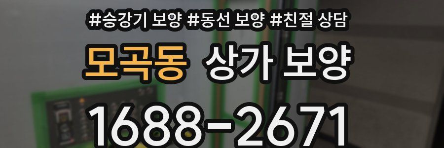 모곡동 상가 보양