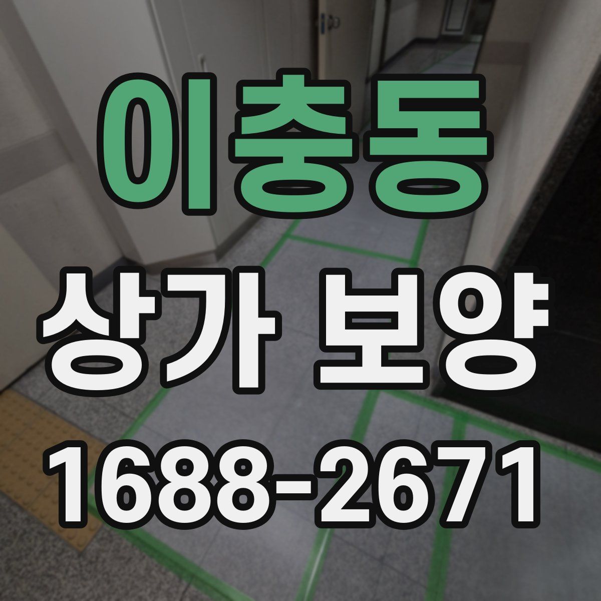 이충동 상가 보양