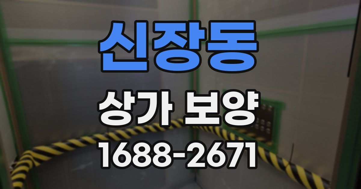 신장동 상가 보양
