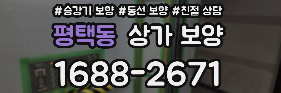 평택동 상가 보양