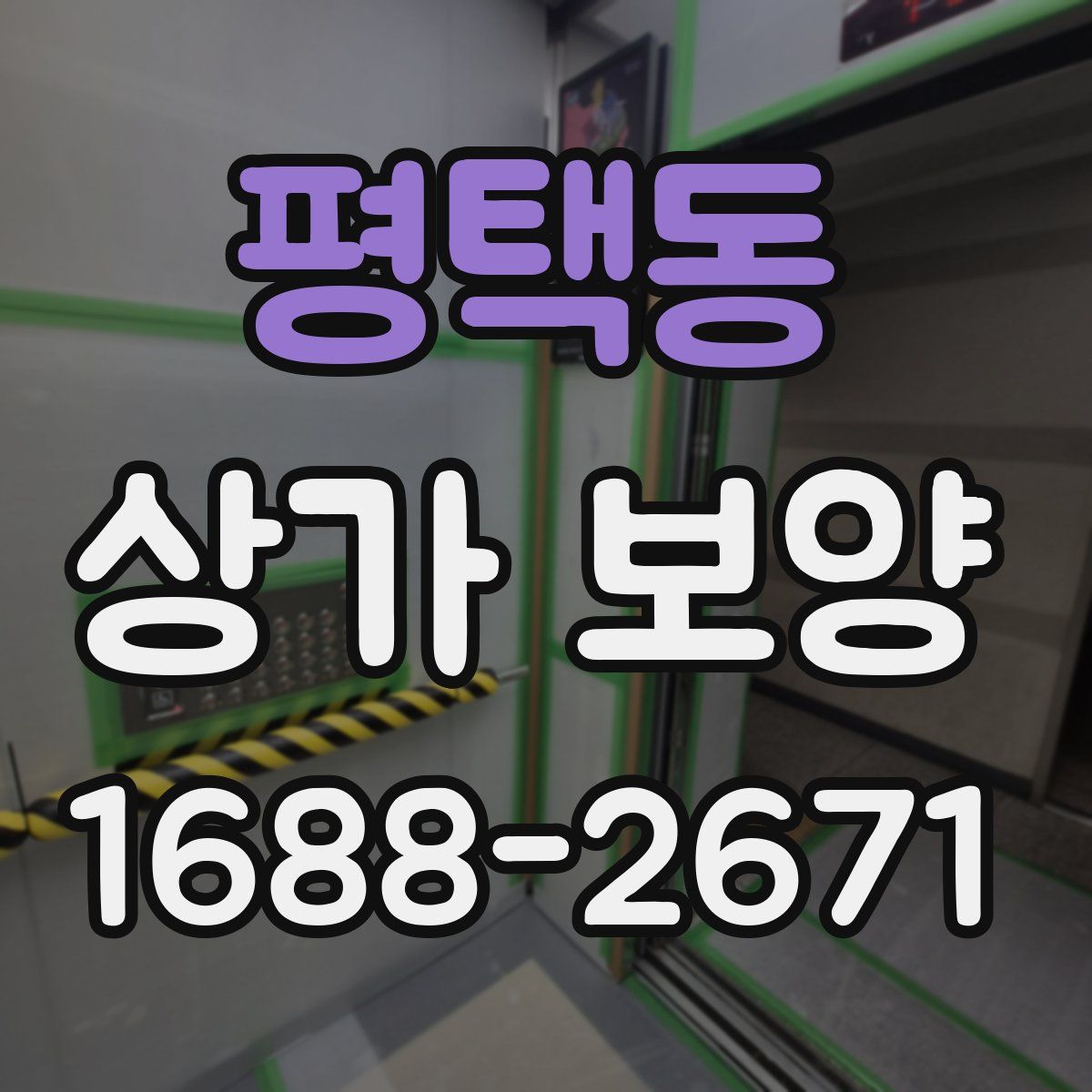 평택동 상가 보양
