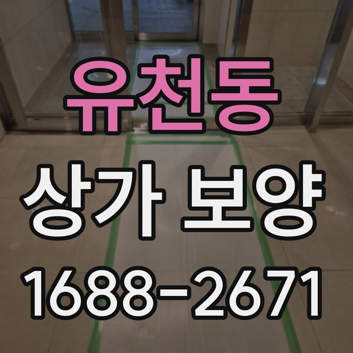 유천동 상가 보양