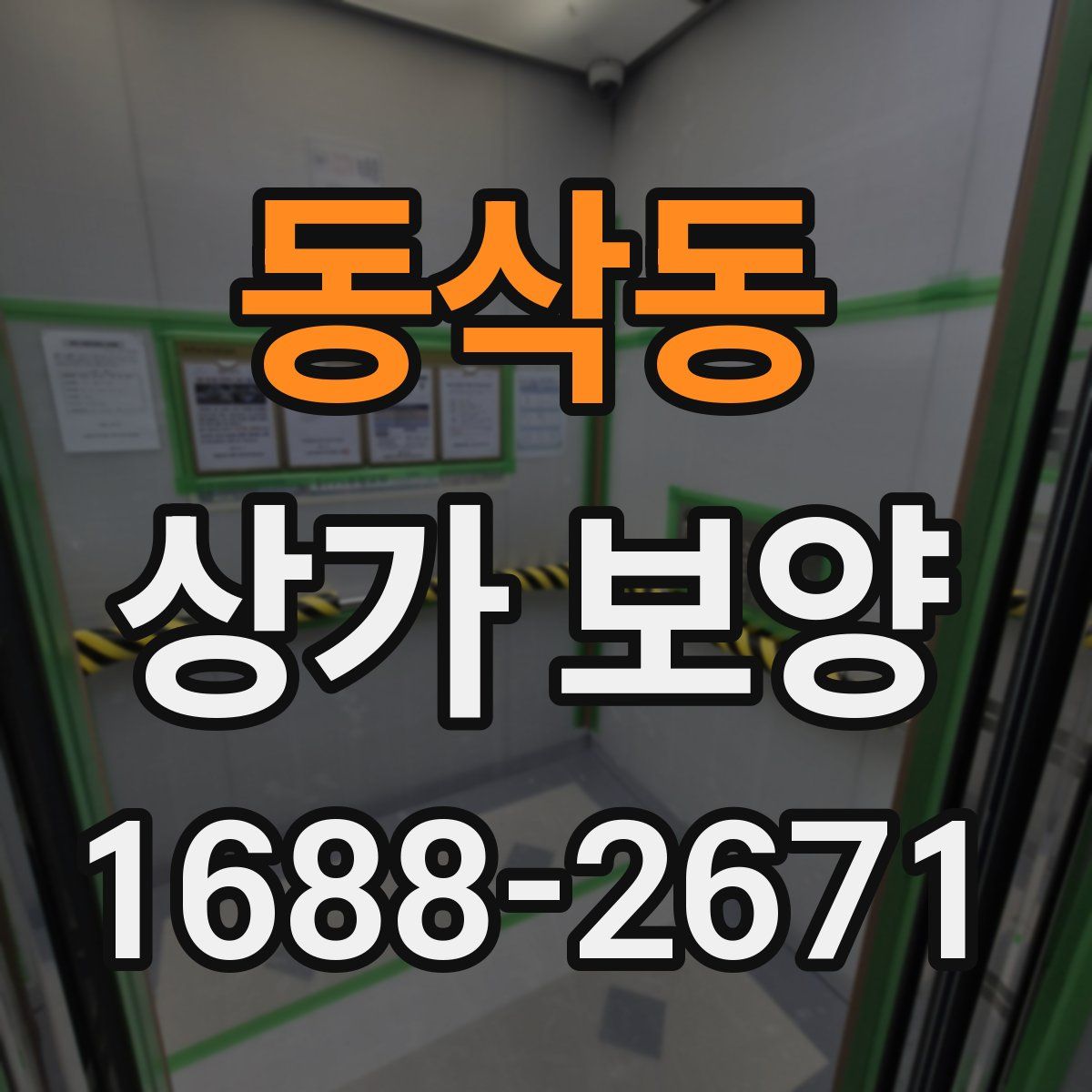 동삭동 상가 보양