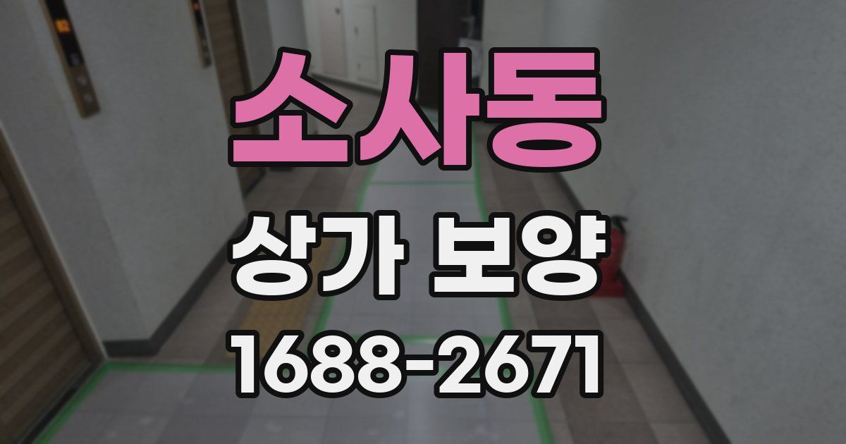 소사동 상가 보양