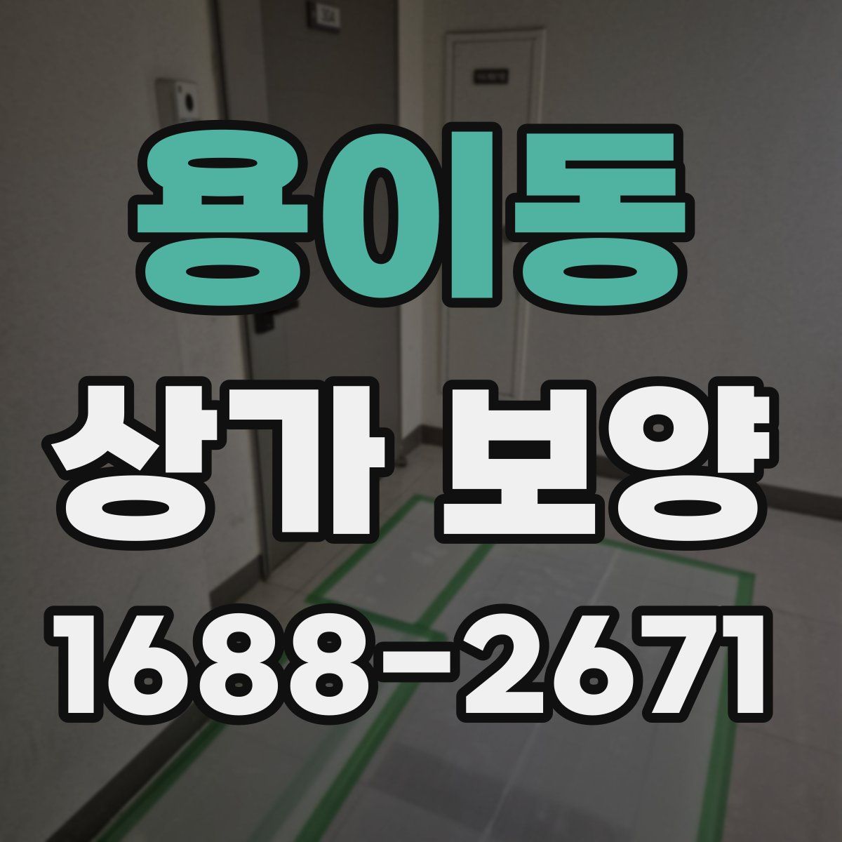 용이동 상가 보양