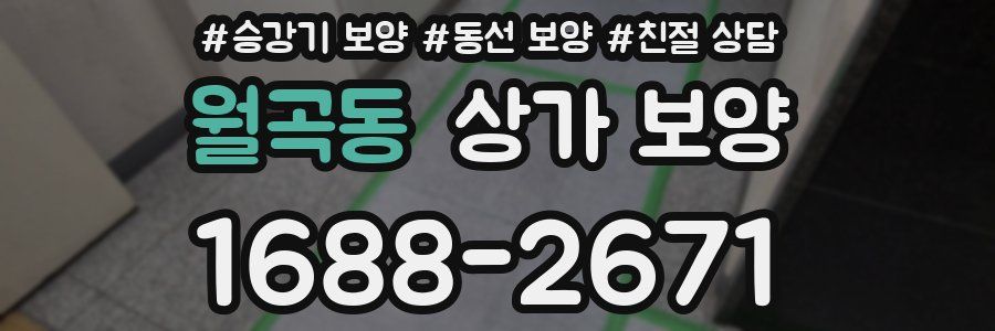 월곡동 상가 보양
