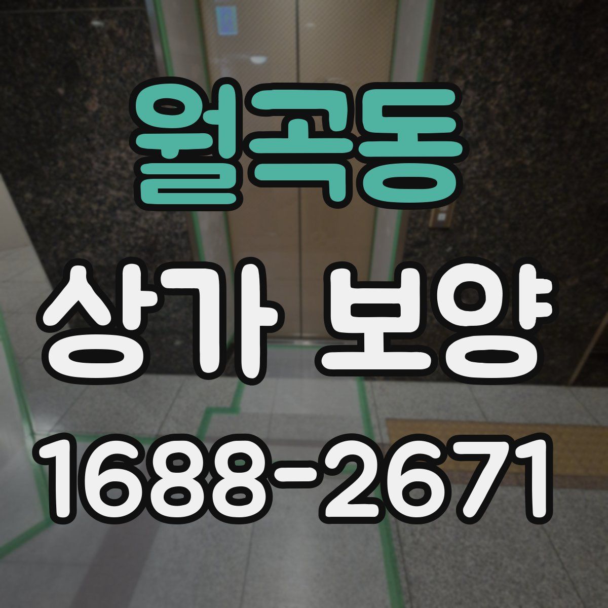 월곡동 상가 보양