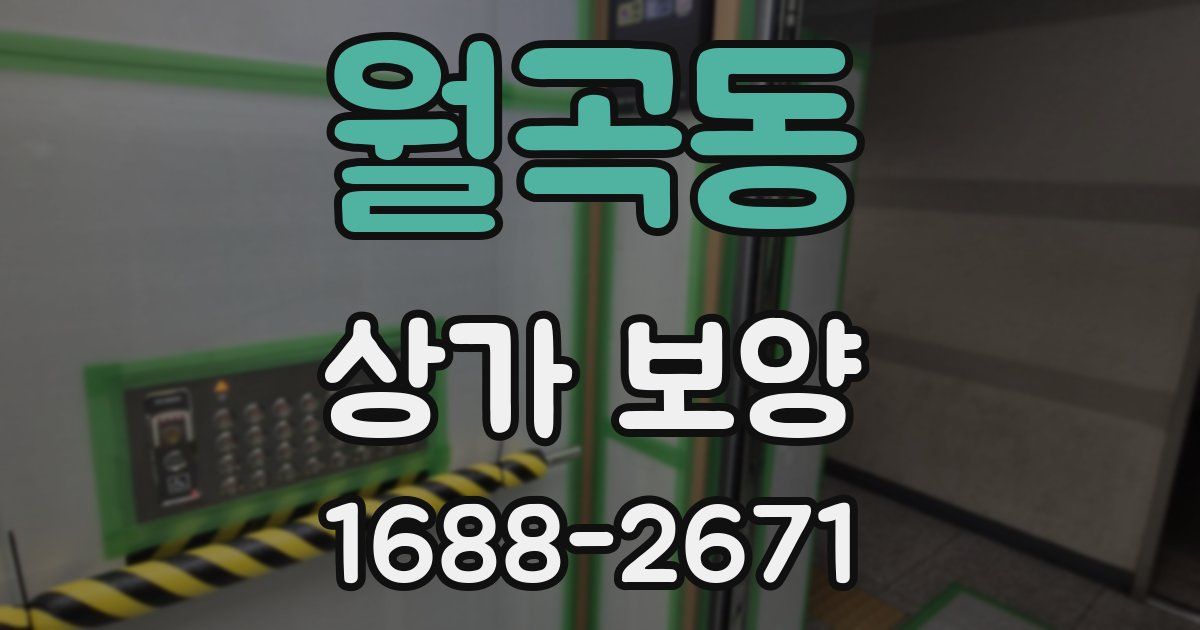 월곡동 상가 보양