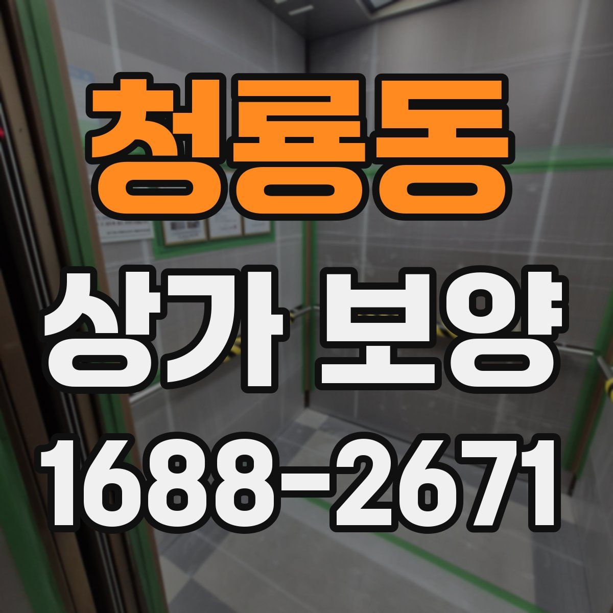 청룡동 상가 보양