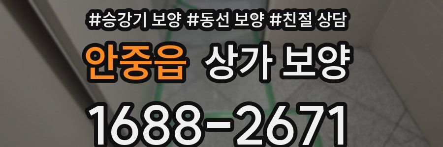 안중읍 상가 보양