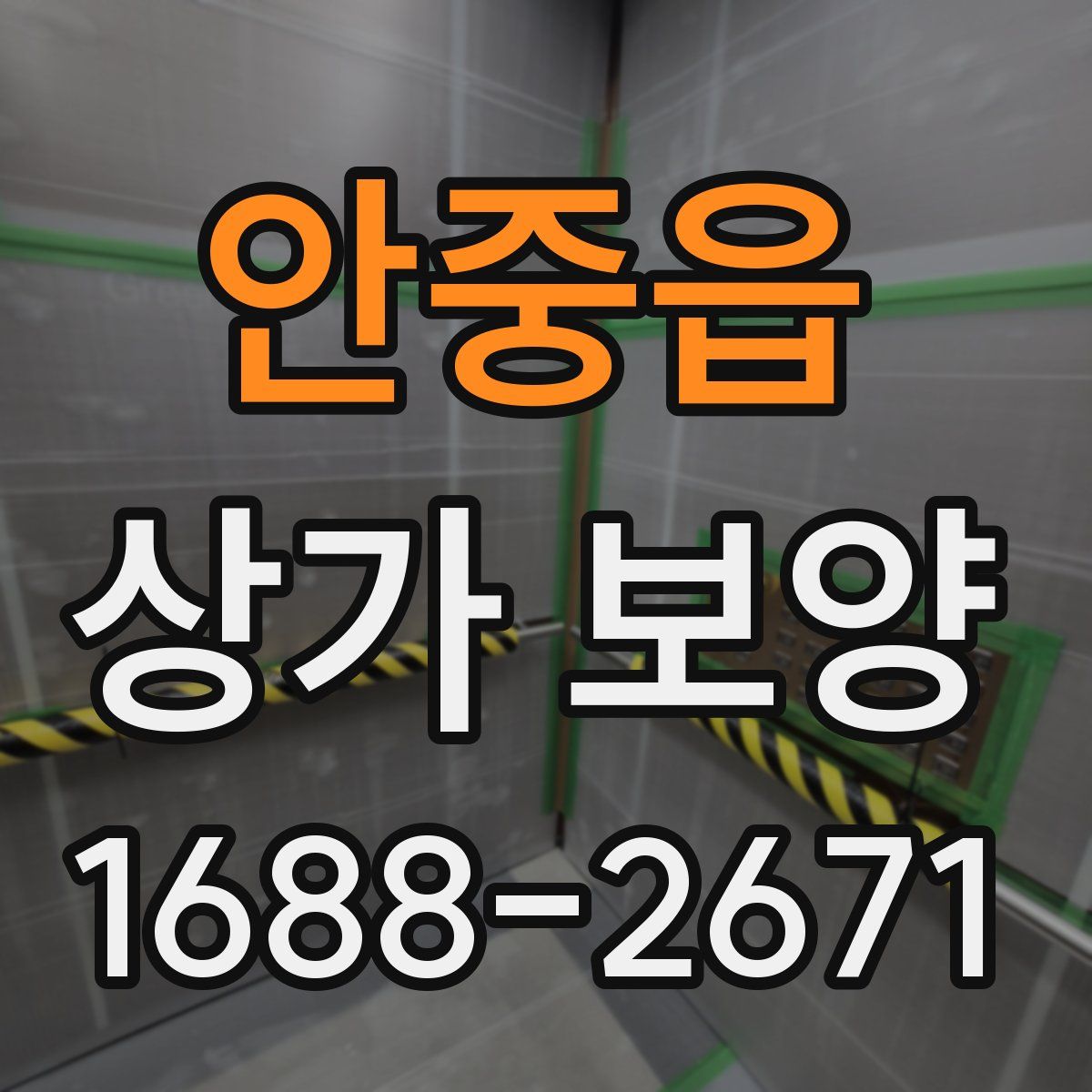 안중읍 상가 보양