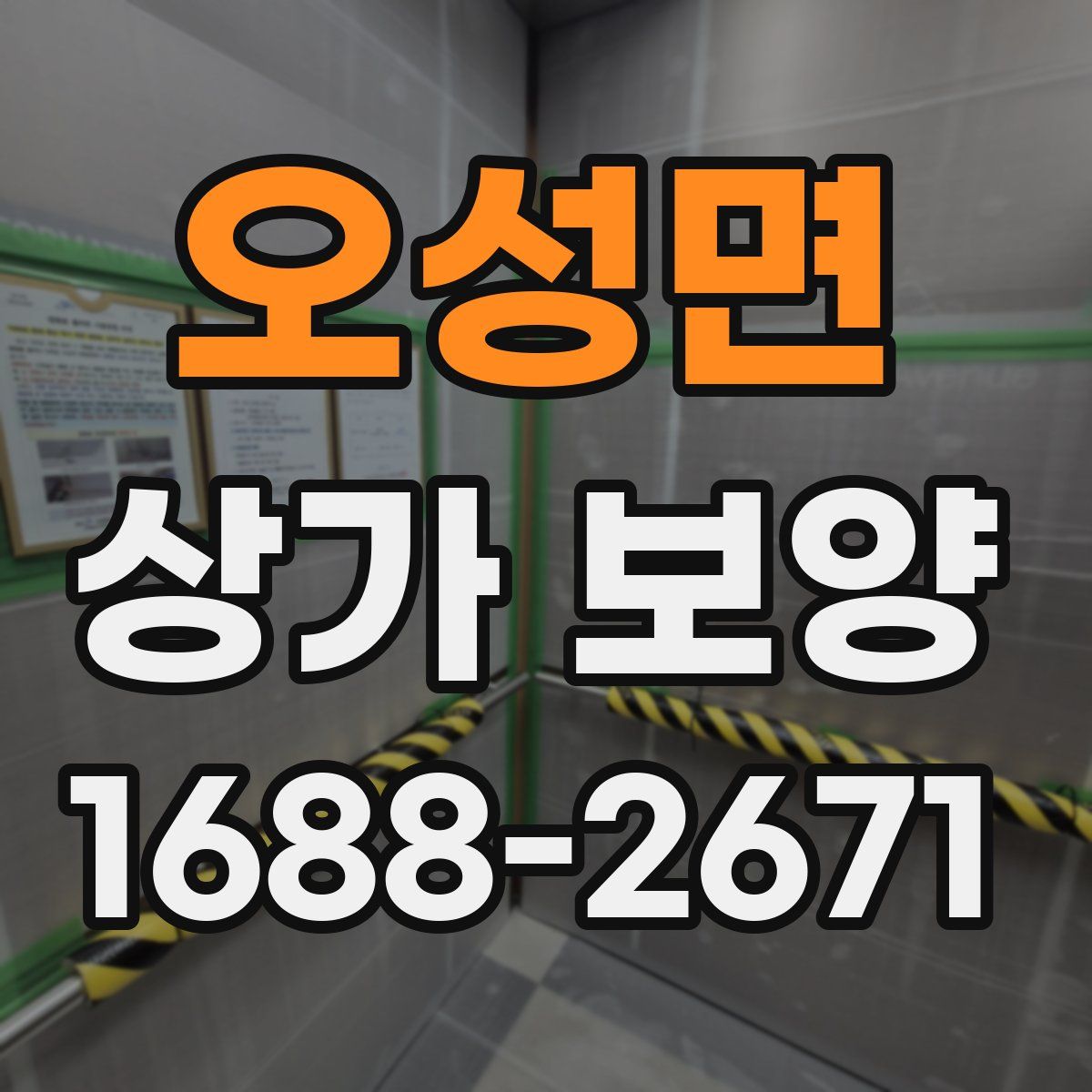 오성면 상가 보양