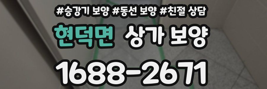 현덕면 상가 보양