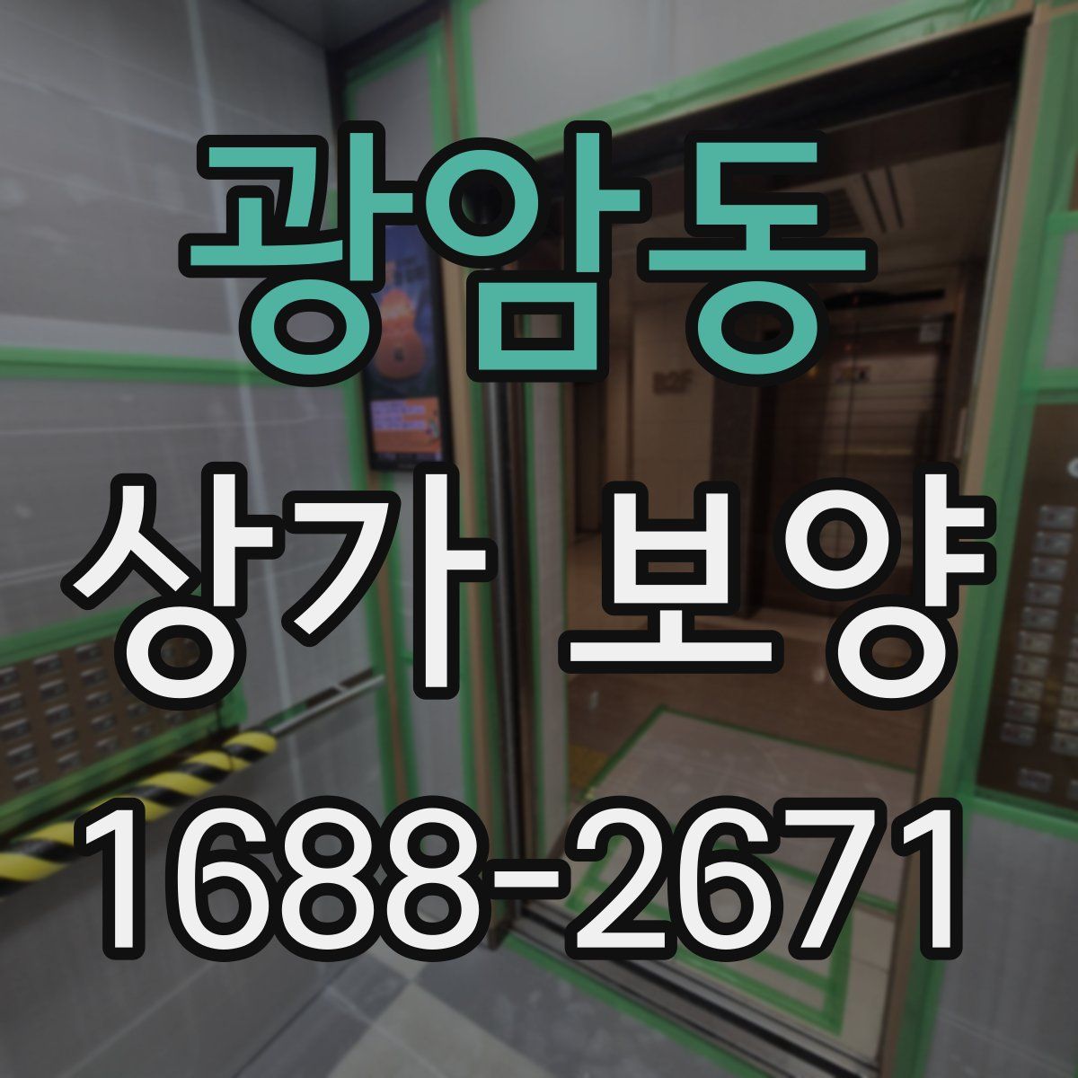 광암동 상가 보양