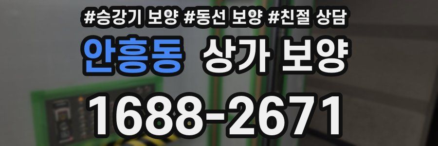 안흥동 상가 보양