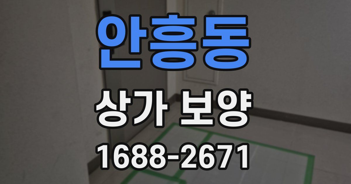 안흥동 상가 보양