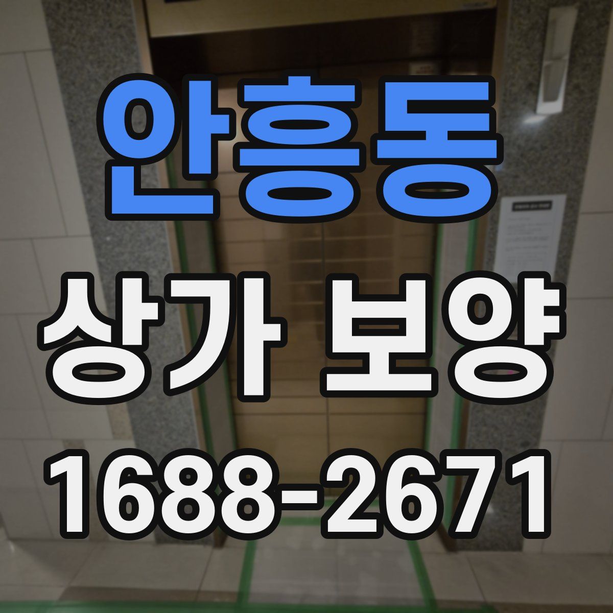 안흥동 상가 보양