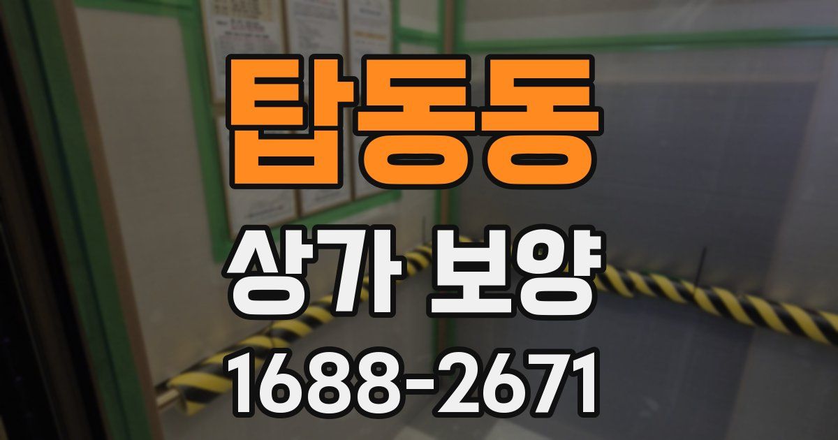 탑동동 상가 보양