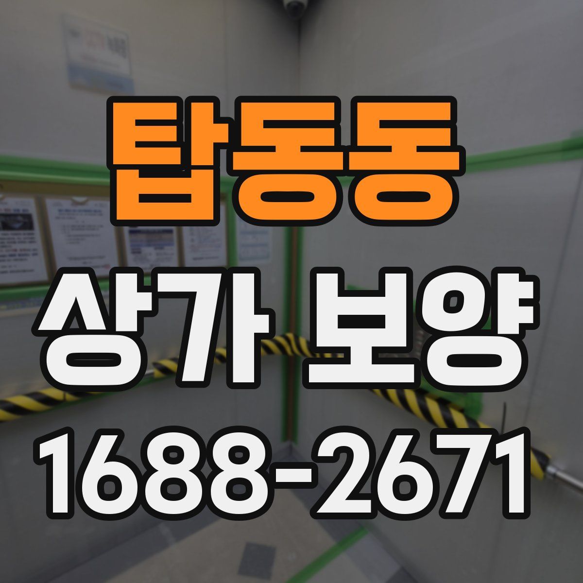 탑동동 상가 보양