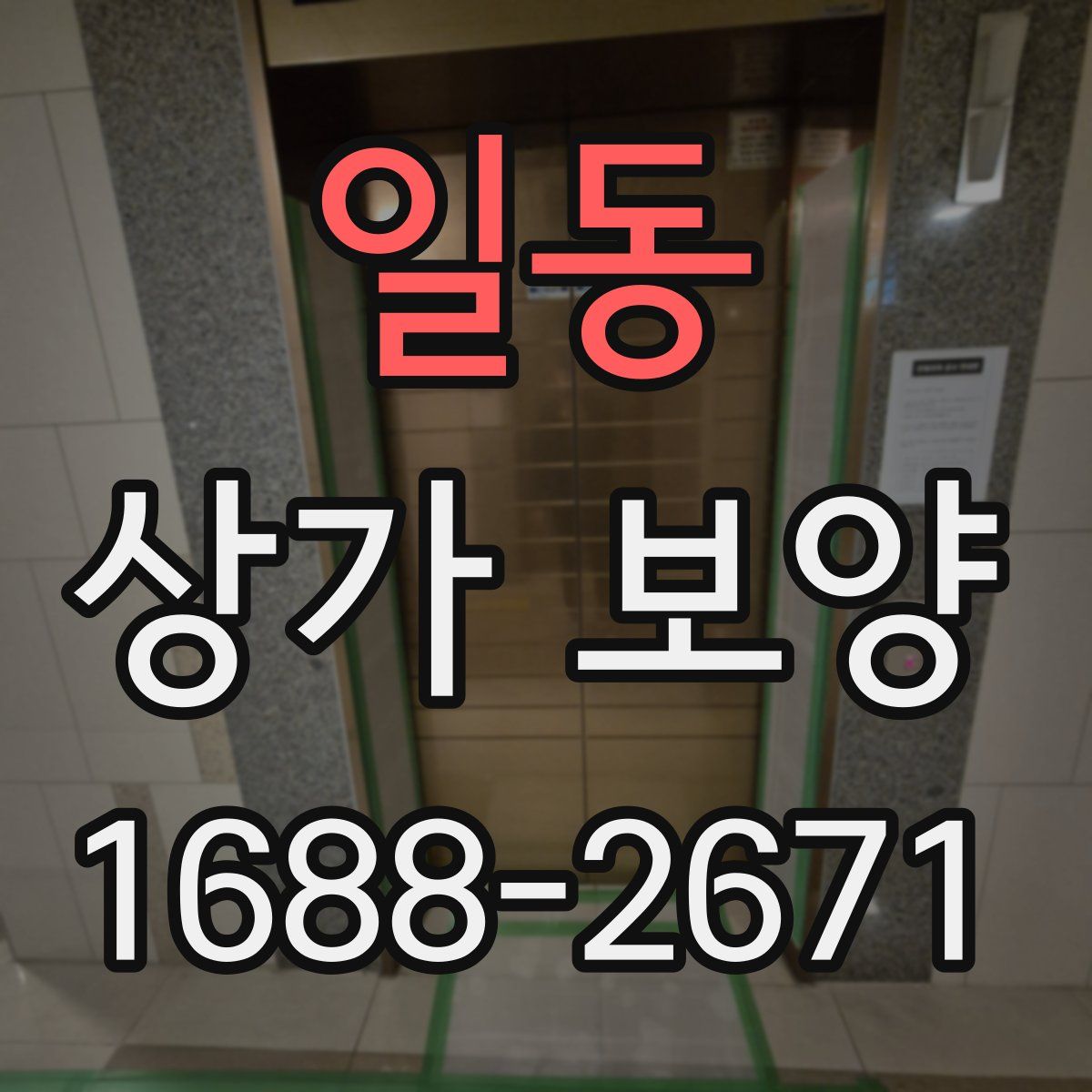 일동 상가 보양