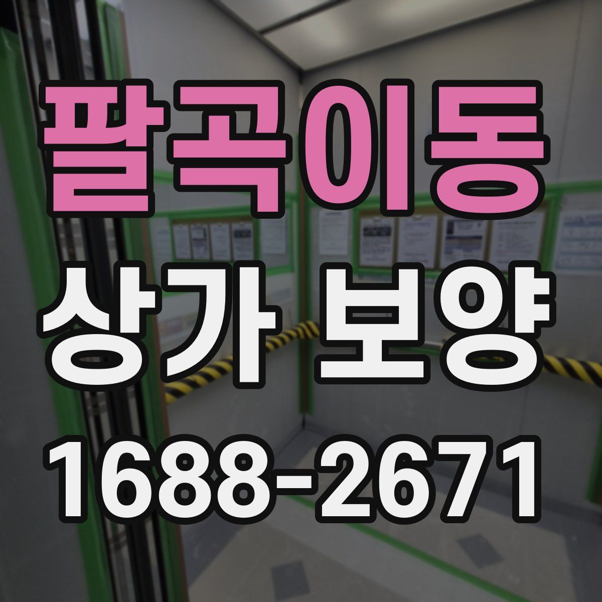 팔곡이동 상가 보양